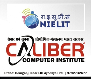 Caliber Computer Institute