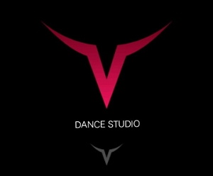 V DANCE & ART STUDIO