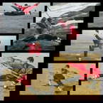 instructor-image