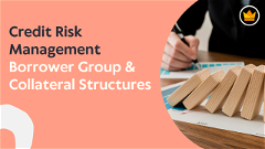 3. Credit Risk Management - Borrower Group and Collateral Structures