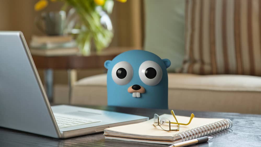 The Go Programming Language Guide - Code Like a Pro