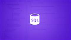 PL/SQL Programming with Real World Examples