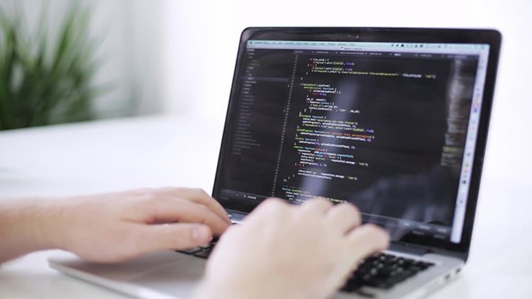 Web development for Absolute Beginners
