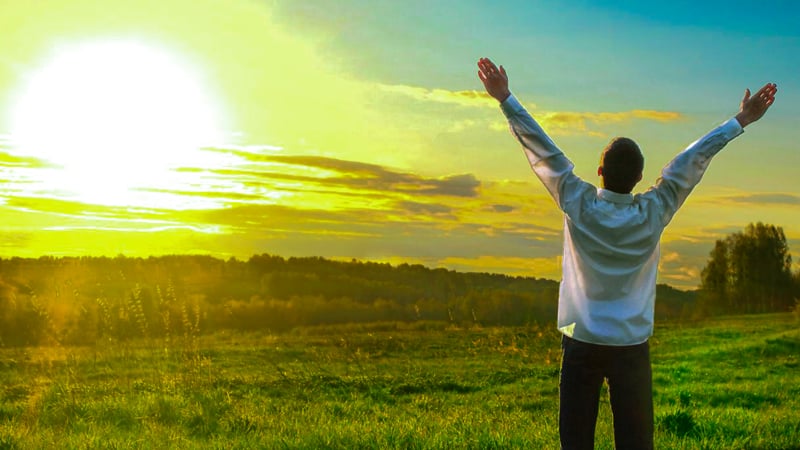 Who Are You? An In-depth Personal Transformation Journey