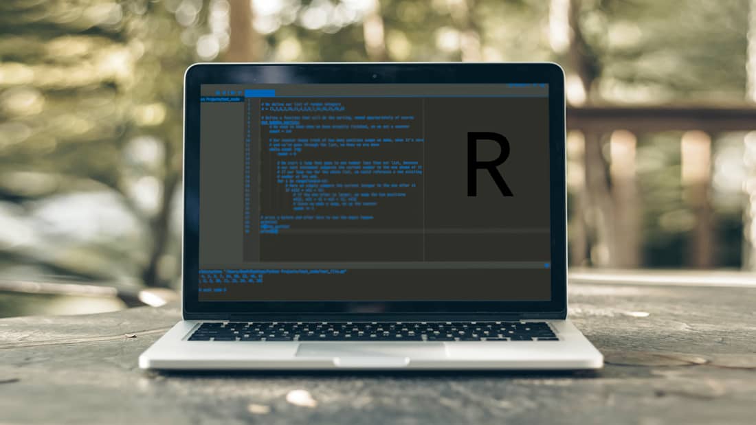 R Programming for Beginners
